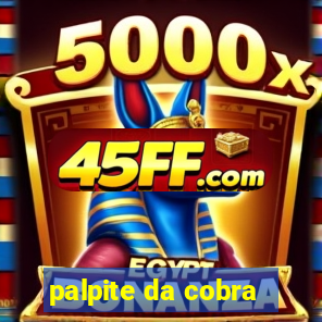 palpite da cobra
